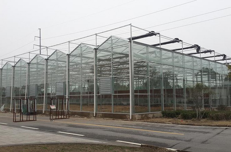 Glass greenhouse